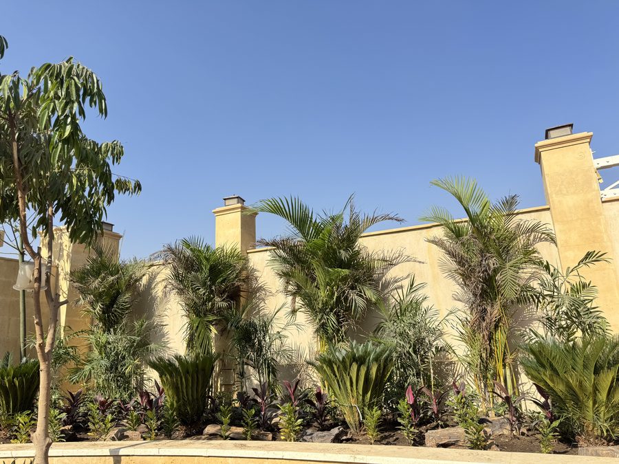 The school garden, NEWGIZA campus